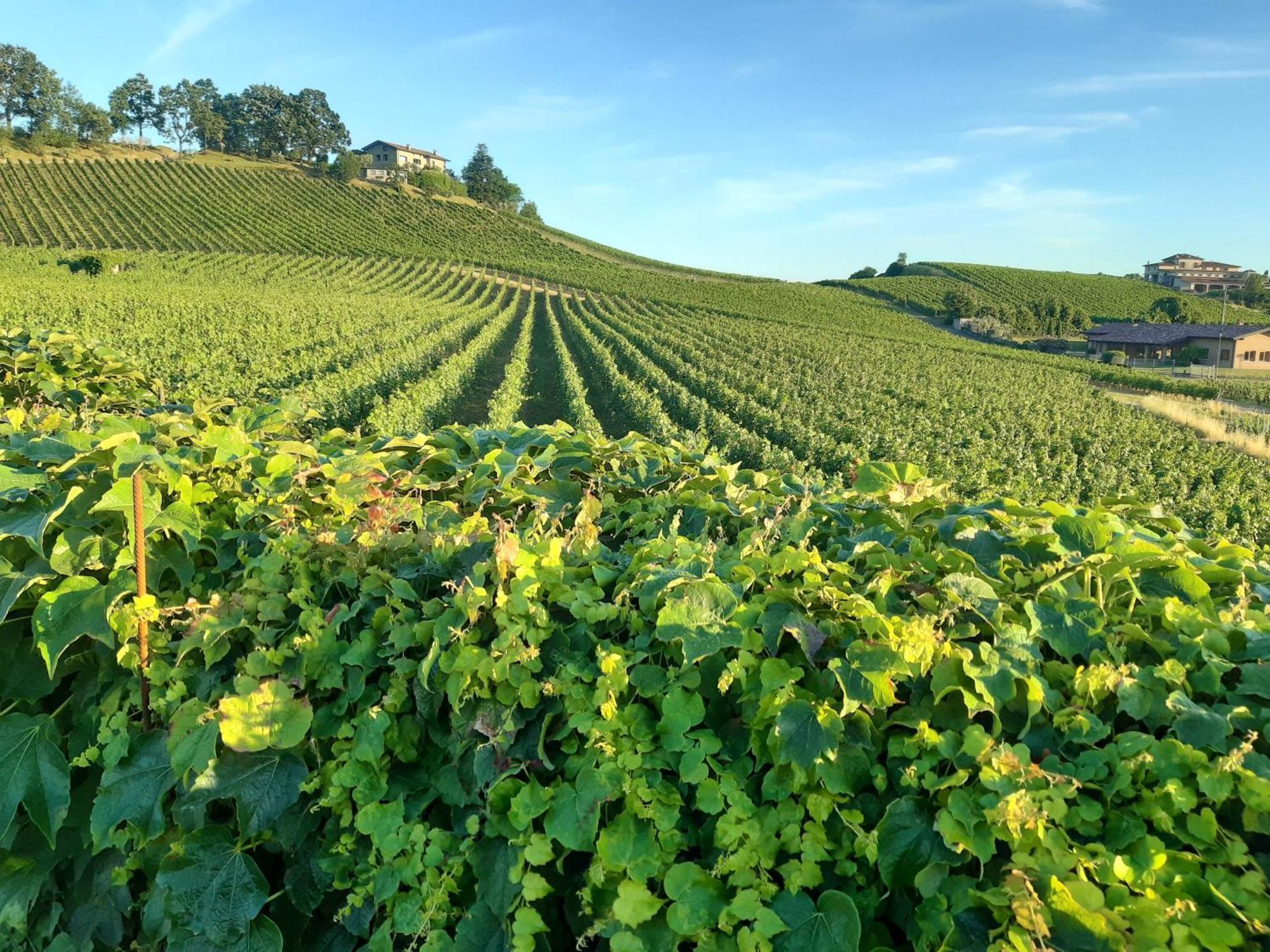 Appartamento Franciacorta Cazzago San Martino Exterior foto